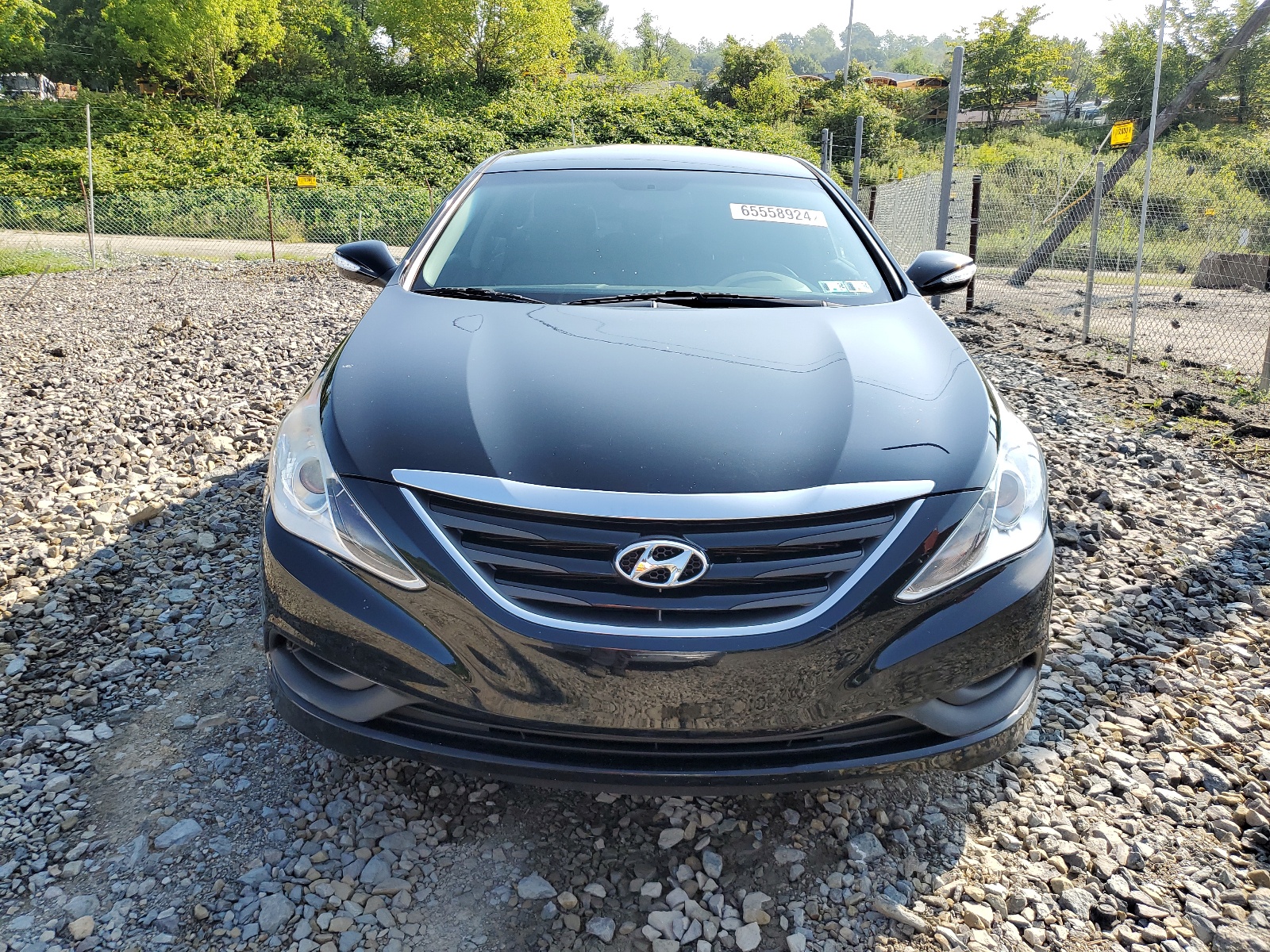 5NPEB4AC3EH923096 2014 Hyundai Sonata Gls