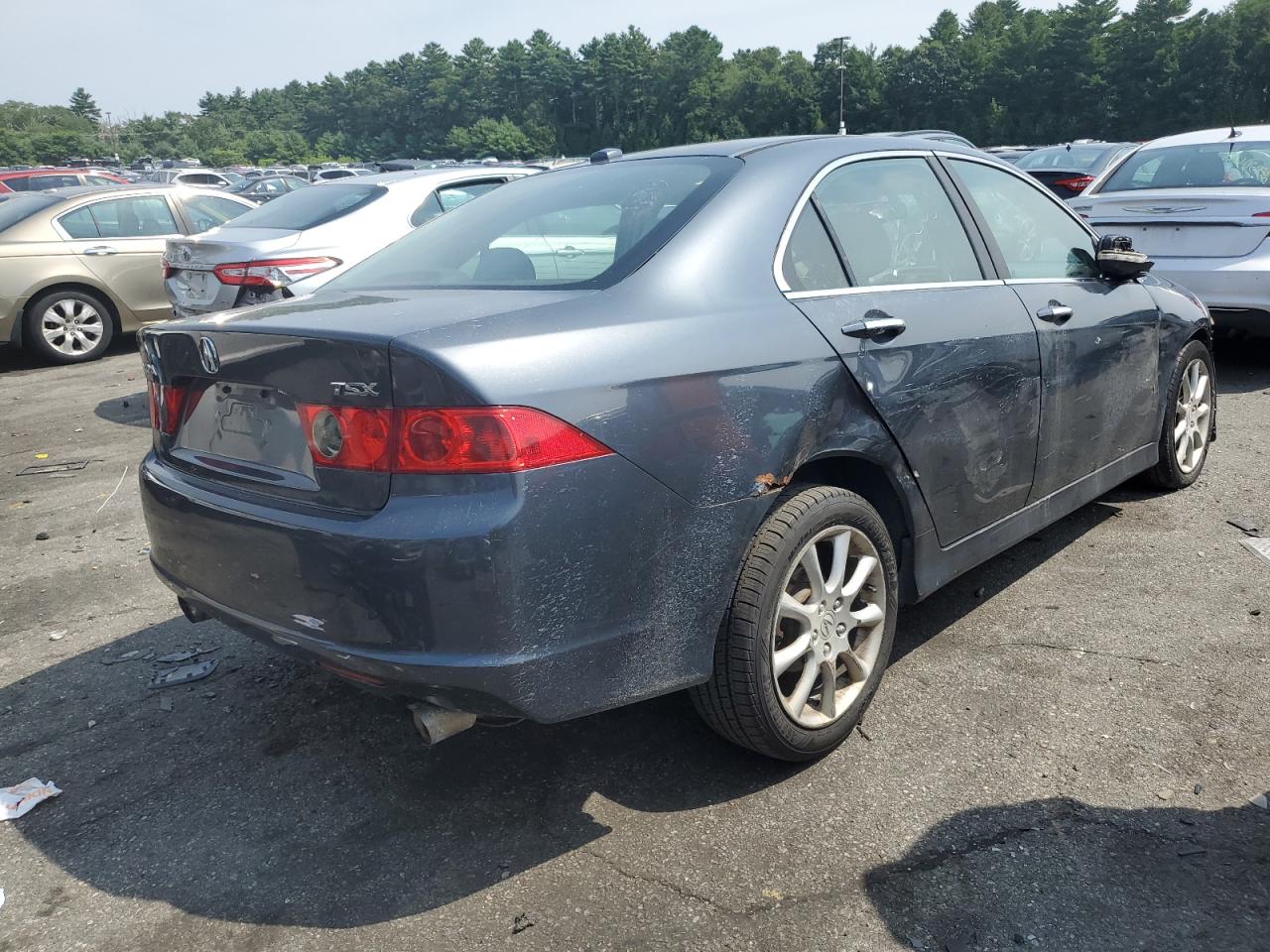 2006 Acura Tsx VIN: JH4CL96856C040263 Lot: 65761744