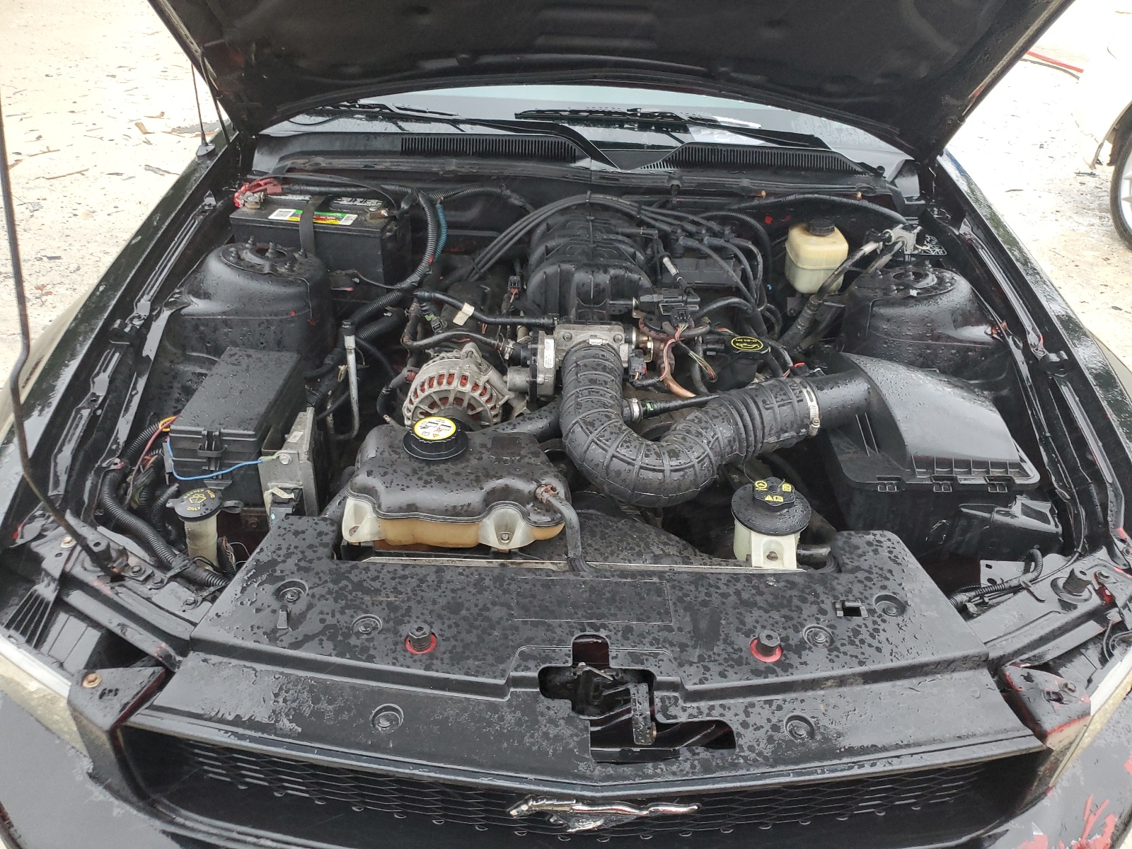 1ZVHT84N685166923 2008 Ford Mustang