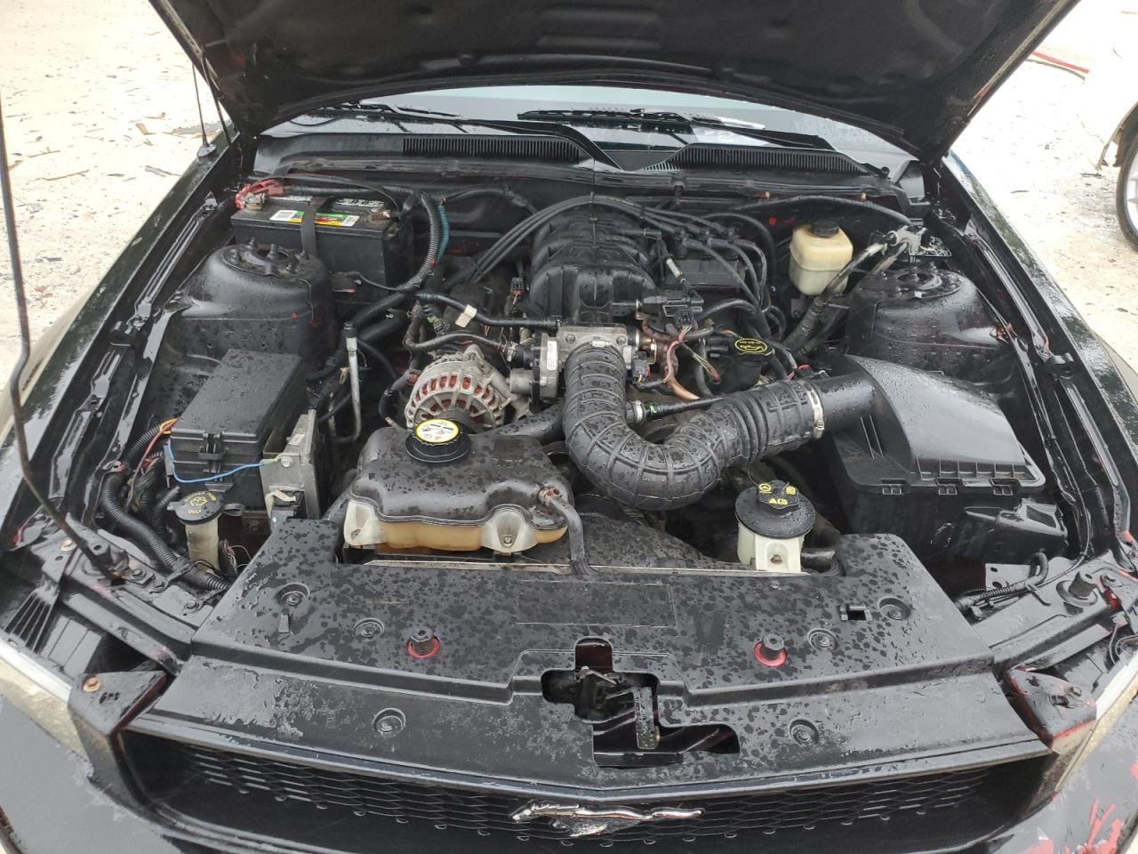 2008 Ford Mustang VIN: 1ZVHT84N685166923 Lot: 65121724