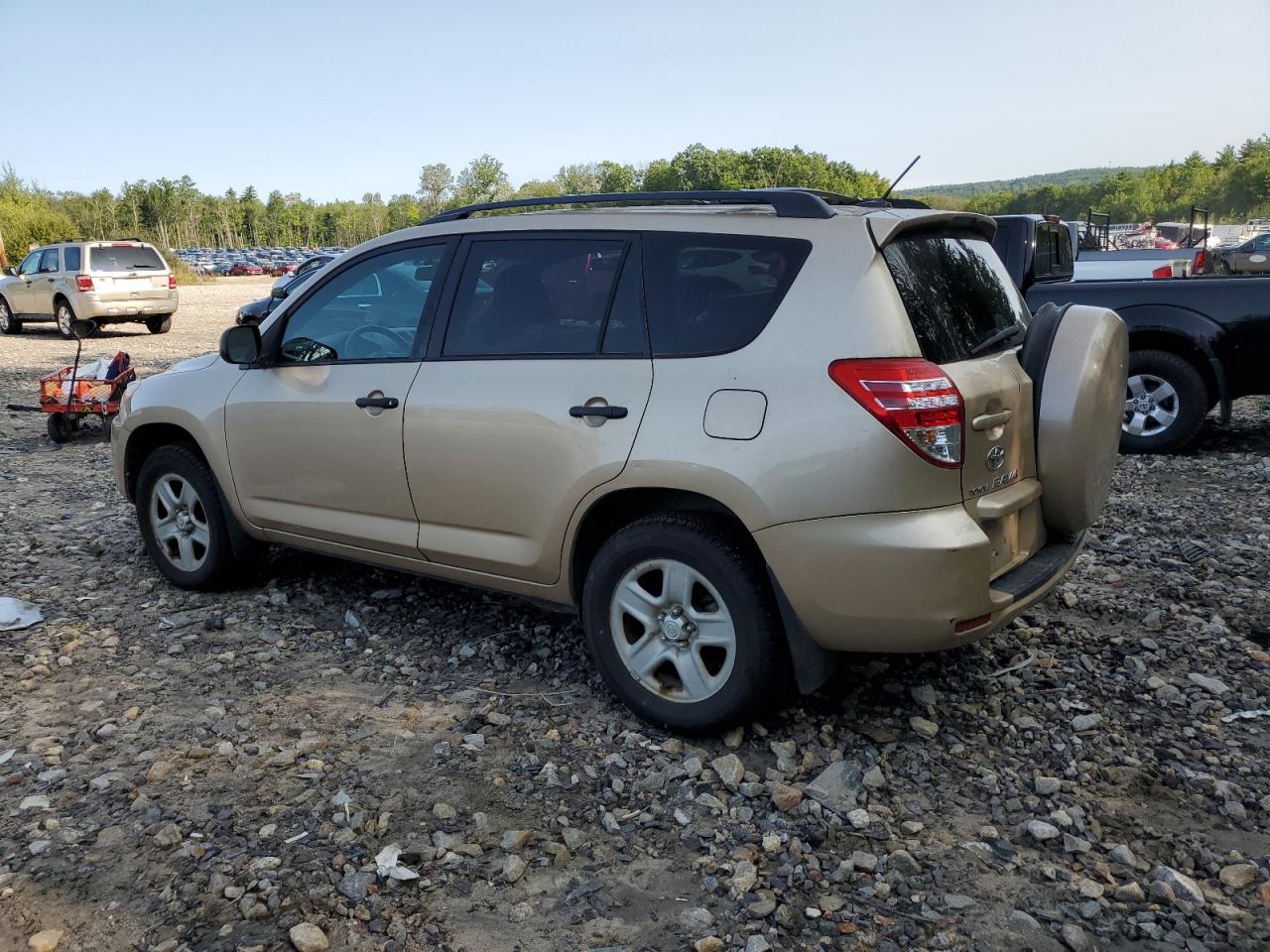 2010 Toyota Rav4 VIN: 2T3BF4DV4AW060266 Lot: 62125414