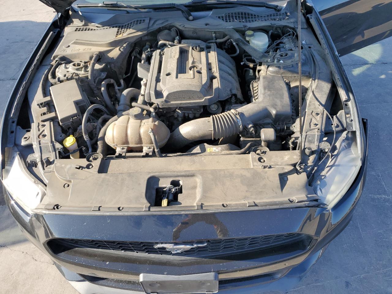 2015 Ford Mustang VIN: 1FA6P8TH3F5344686 Lot: 67378894