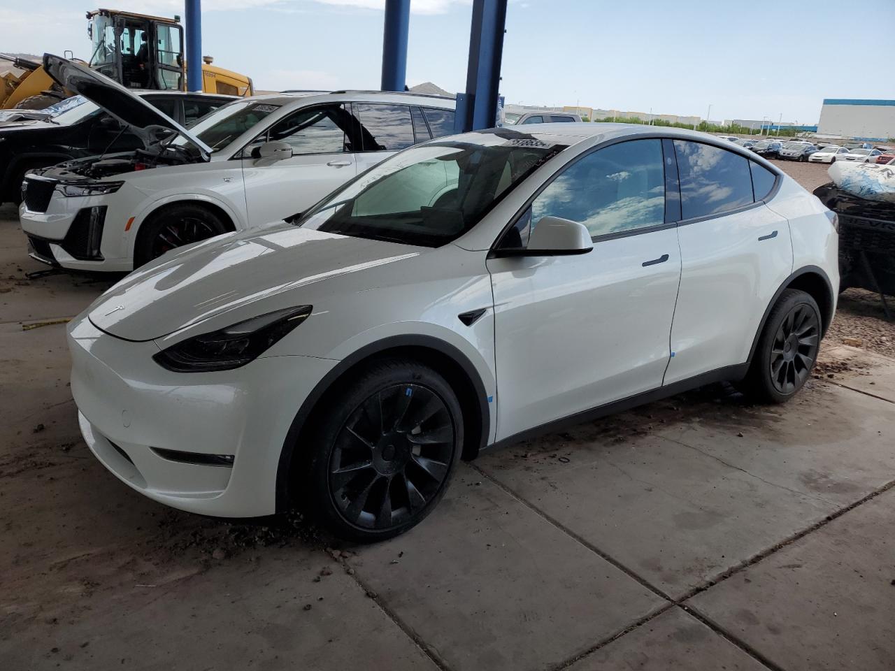 7SAYGDEE6PF858274 2023 TESLA MODEL Y - Image 1