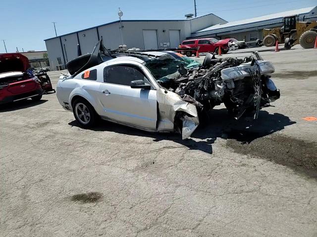 2006 Ford Mustang Gt VIN: 1ZVFT82H665216379 Lot: 66488394