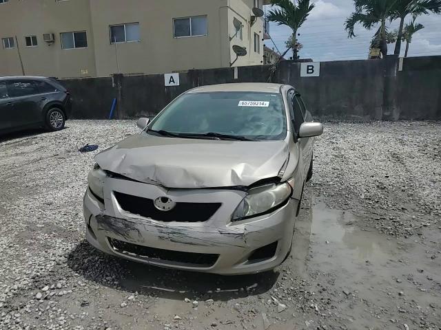 2009 Toyota Corolla Base VIN: 1NXBU40E99Z007336 Lot: 65759314