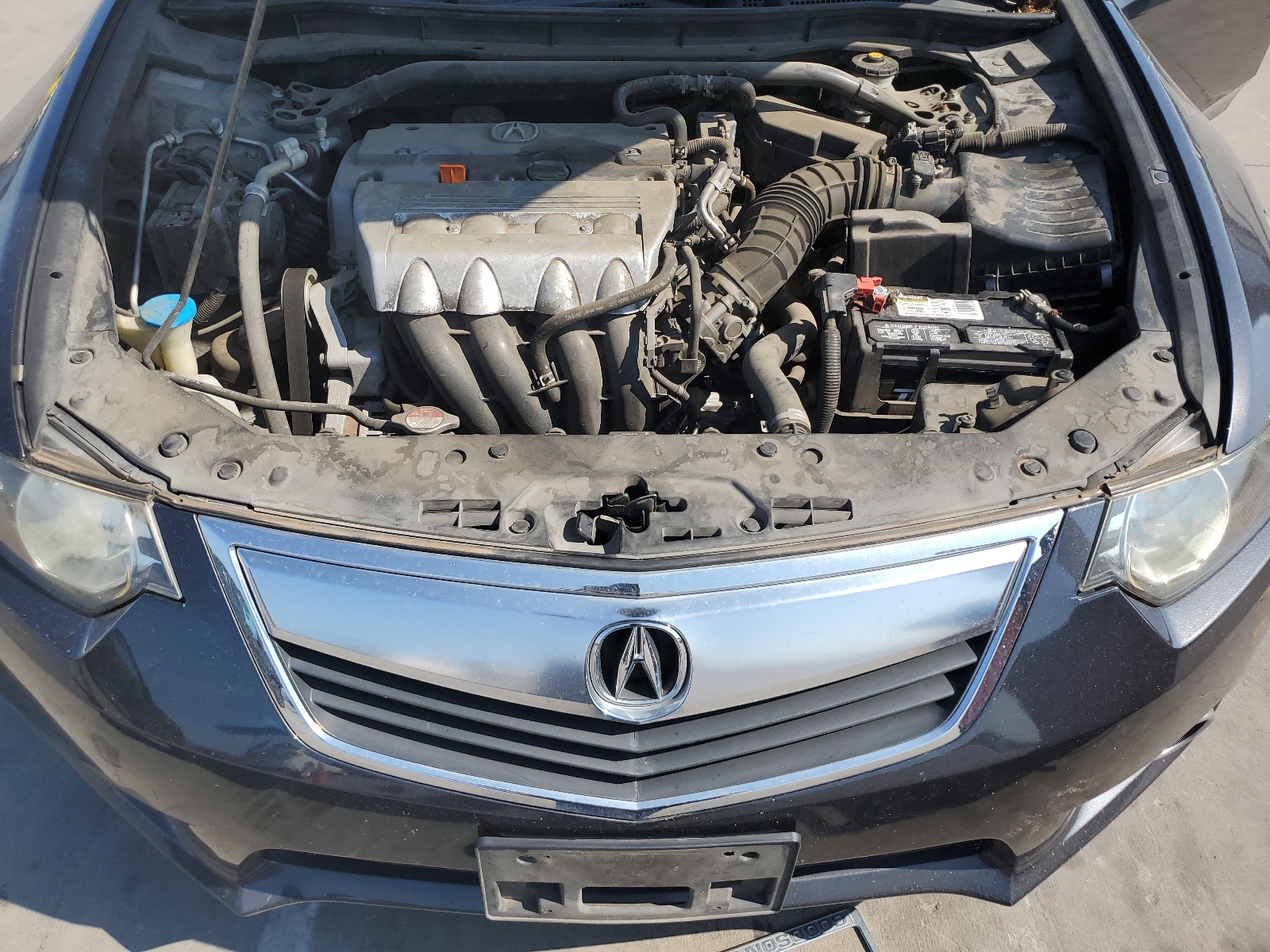 JH4CU2F64DC003849 2013 Acura Tsx Tech