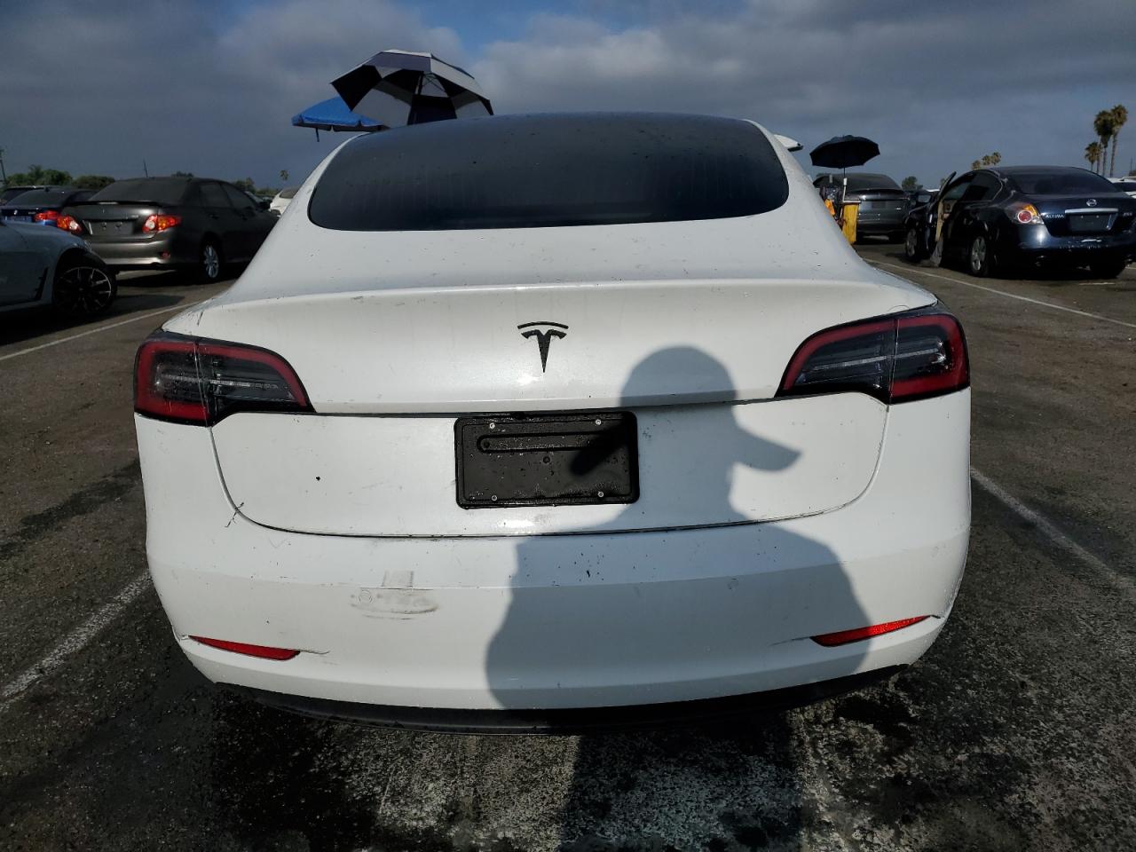 2020 Tesla Model 3 VIN: 5YJ3E1EA0LF799564 Lot: 67409924