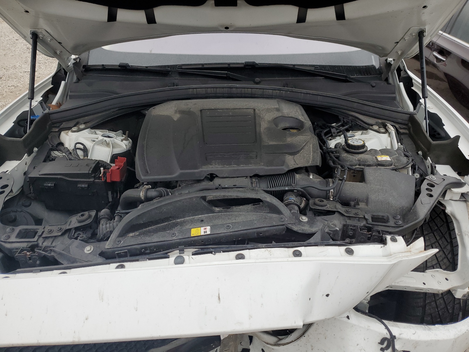 SADCL2GX2LA625361 2020 Jaguar F-Pace R - Sport