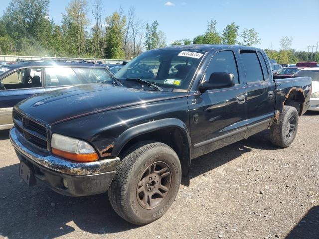 2004 Dodge Dakota Quad Slt na sprzedaż w Leroy, NY - Hail