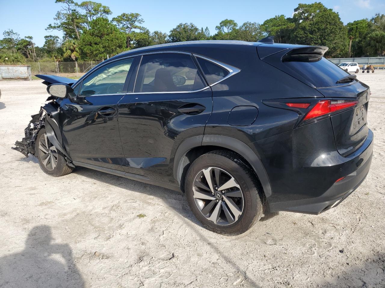 JTJYARBZ5K2135690 2019 LEXUS NX - Image 2