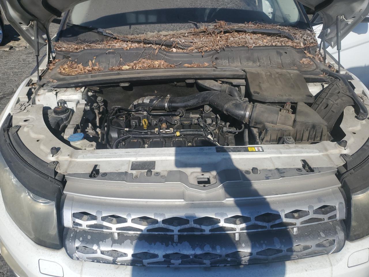 2012 Land Rover Range Rover Evoque Prestige Premium VIN: SALVV2BG2CH697019 Lot: 69088404