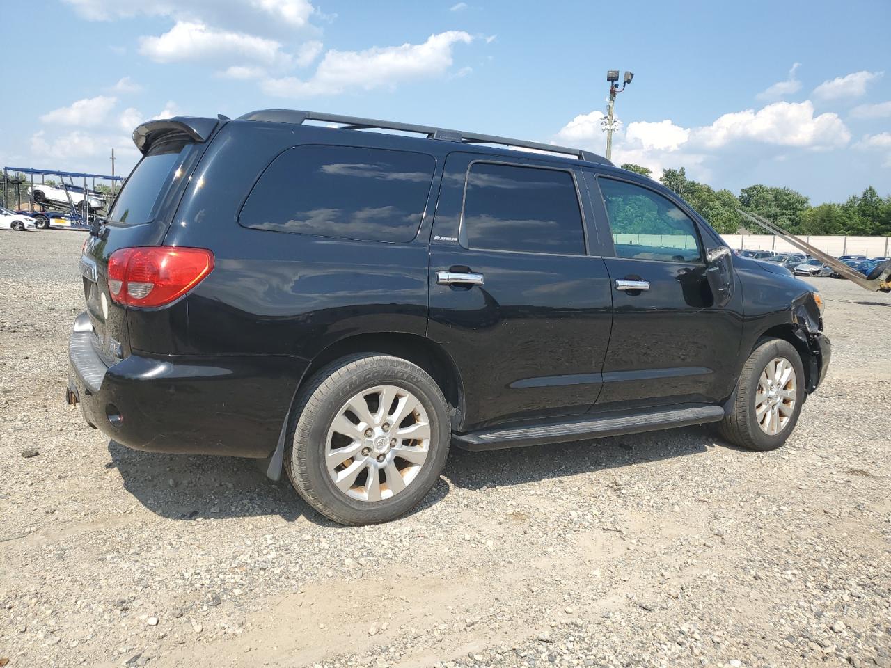 2010 Toyota Sequoia Platinum VIN: 5TDDW5G19AS024212 Lot: 66333424
