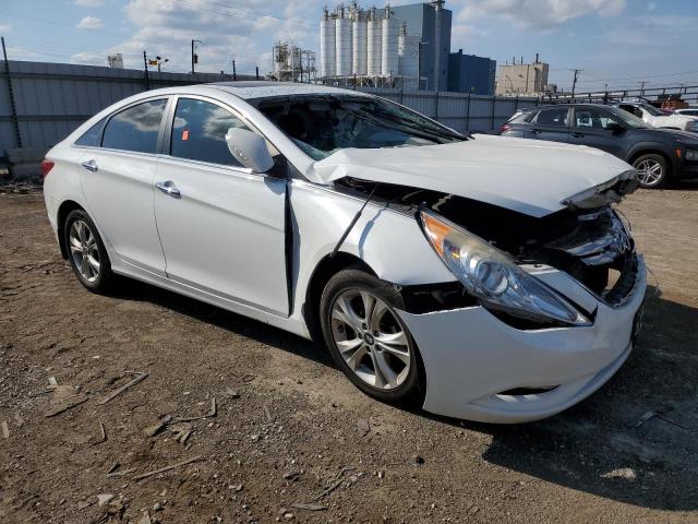  HYUNDAI SONATA 2013 White