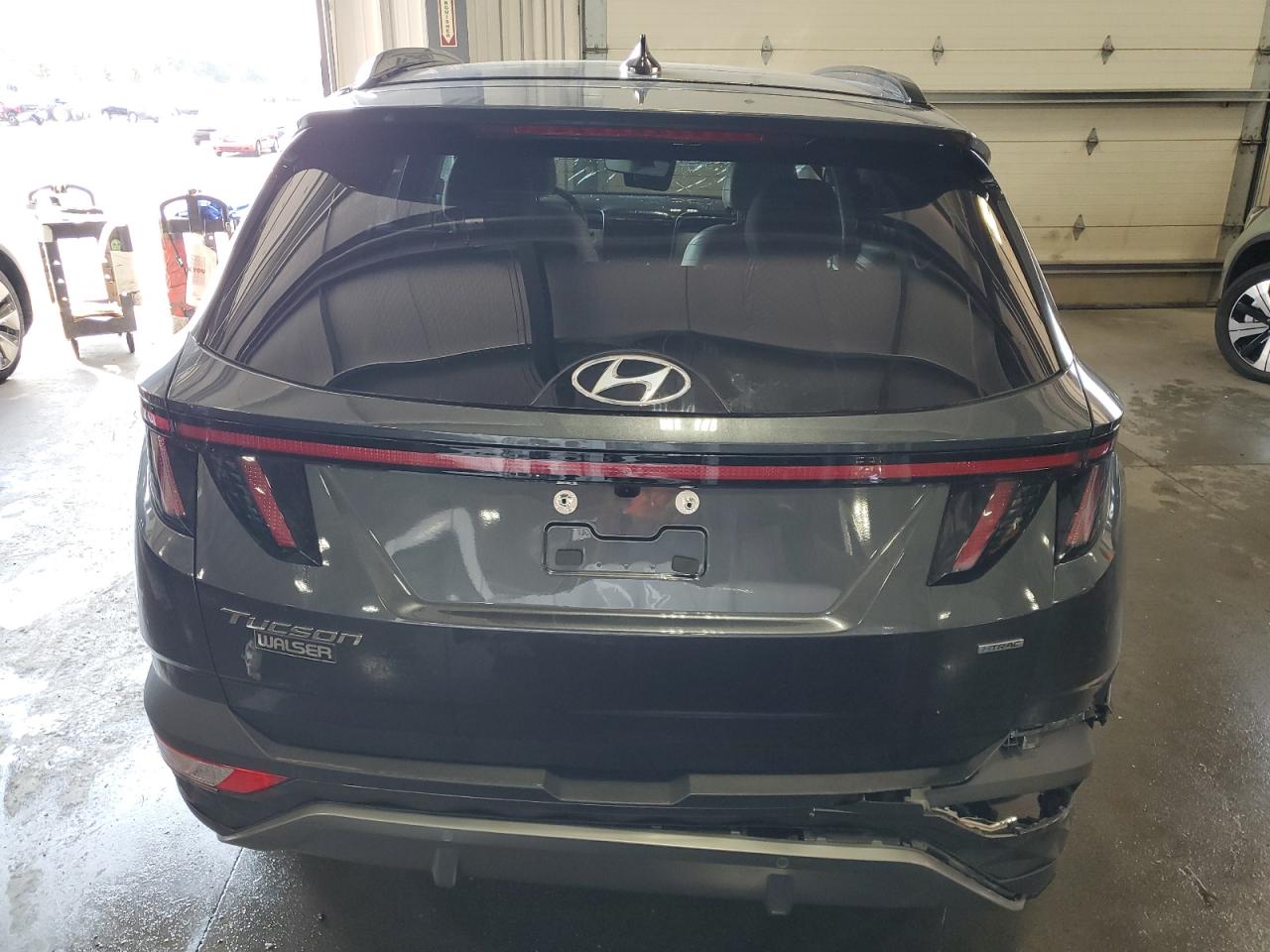 2023 Hyundai Tucson Limited VIN: 5NMJECAE4PH248828 Lot: 68482554