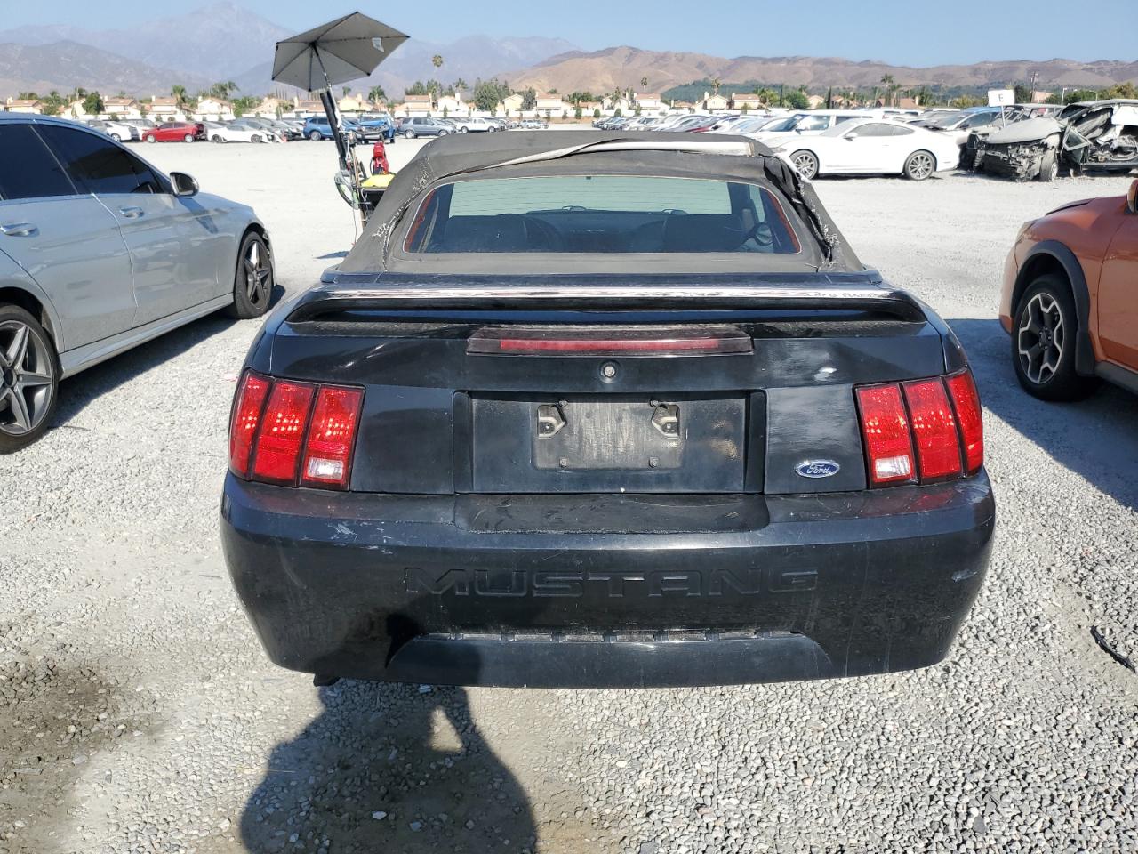 2000 Ford Mustang VIN: 1FAFP4441YF200247 Lot: 69163254