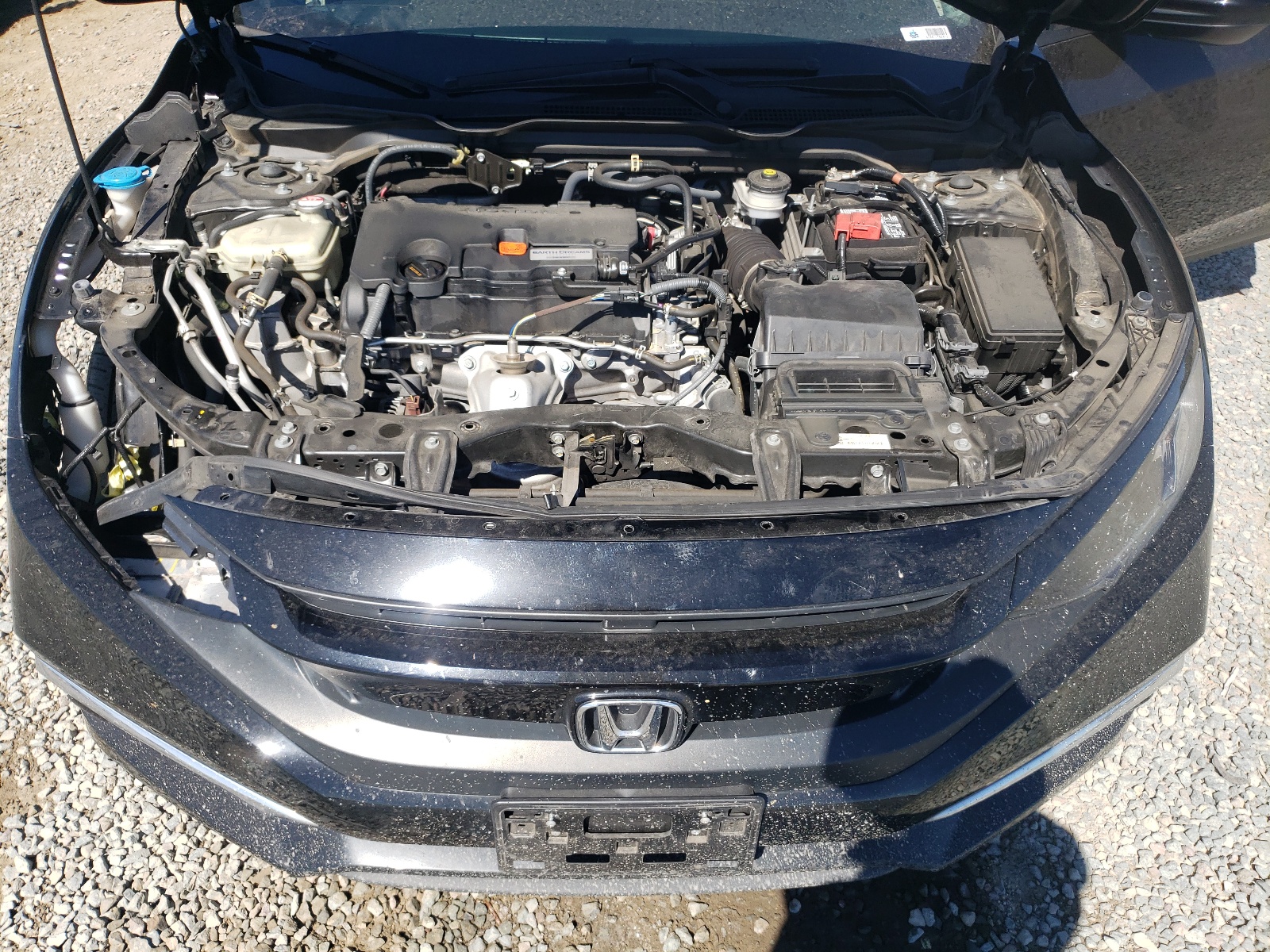 2HGFC2F61MH502043 2021 Honda Civic Lx 2HGFC2F61MH502043 2021 Honda Civic Lx
