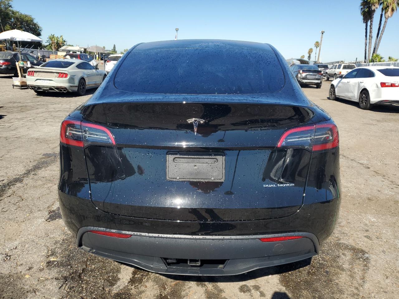 2024 Tesla Model Y VIN: 7SAYGDEE6RA215519 Lot: 67612514