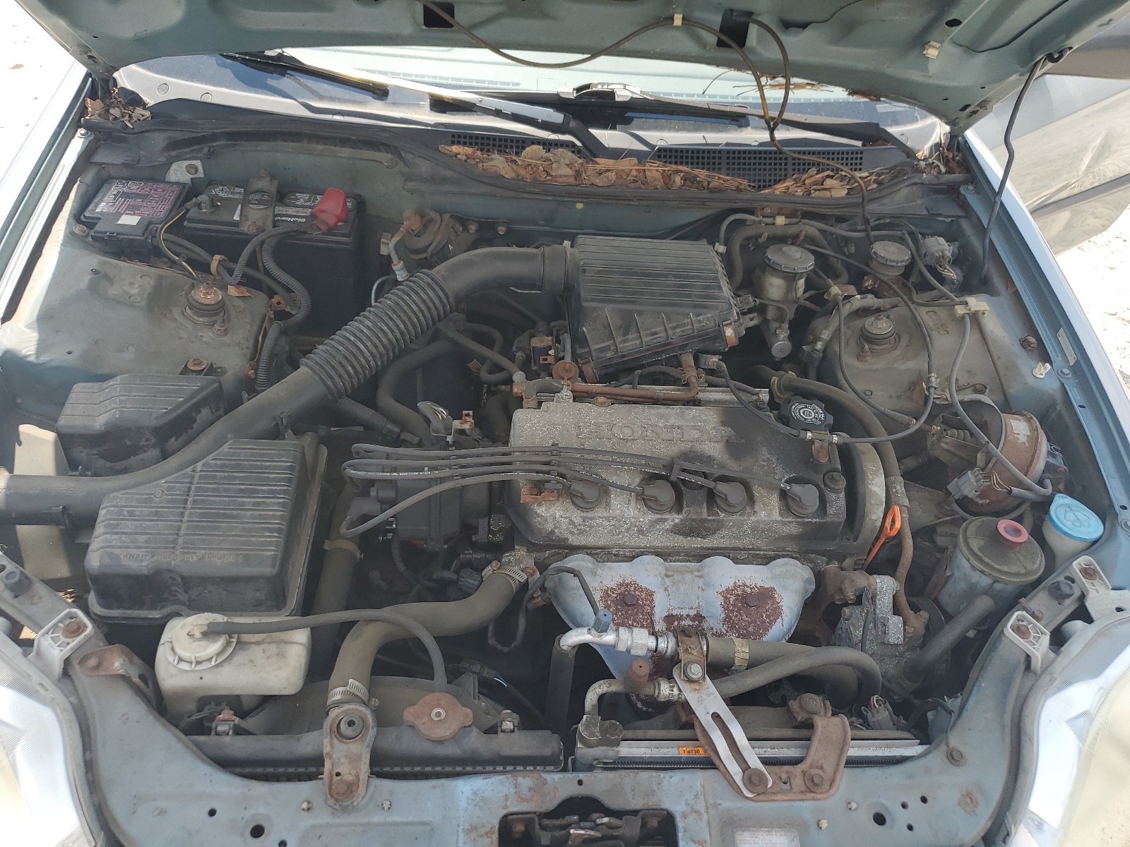 2HGEJ6576XH501347 1999 Honda Civic Lx