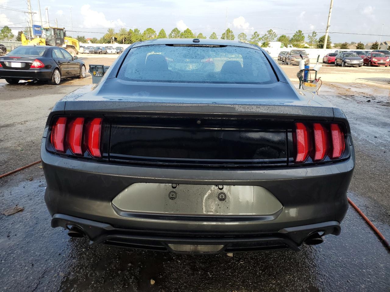 2019 Ford Mustang VIN: 1FA6P8TH1K5173981 Lot: 66610014