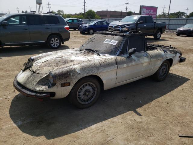 1978 Alfa Romeo Spider