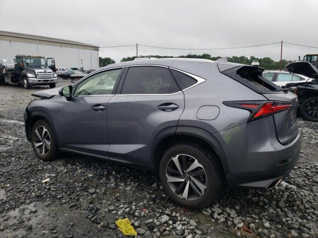 JTJGARDZ4M2248381 Lexus NX 300 BAS 2