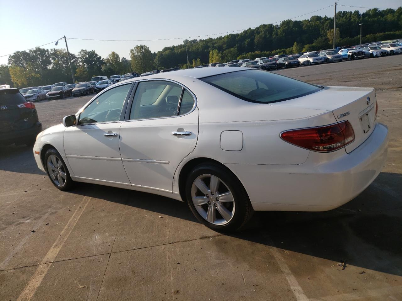 2005 Lexus Es 330 VIN: JTHBA30G155118281 Lot: 69315814