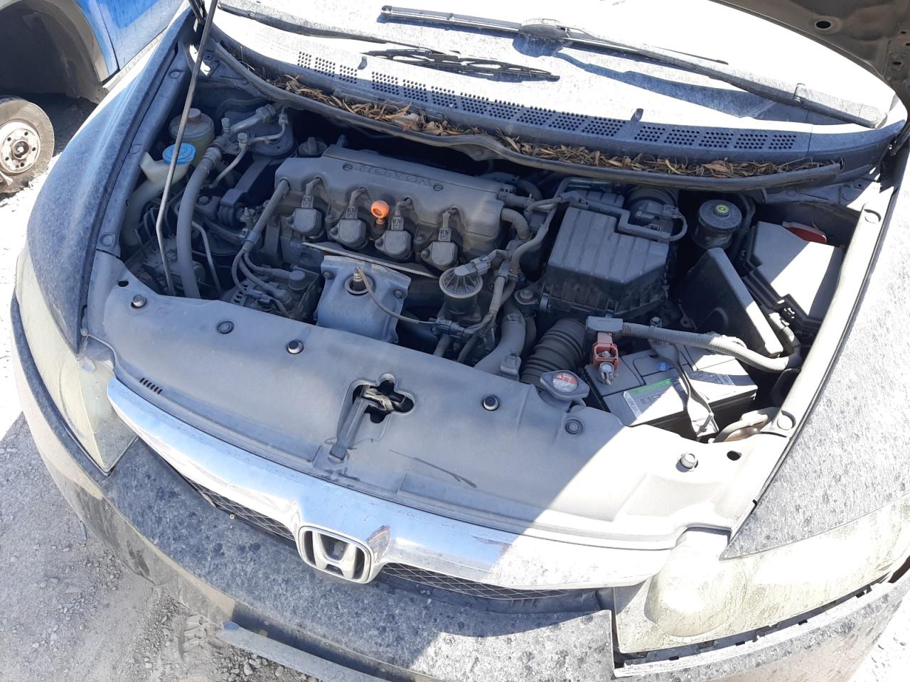 2009 Honda Civic Lx VIN: 19XFA16529E041203 Lot: 62954914