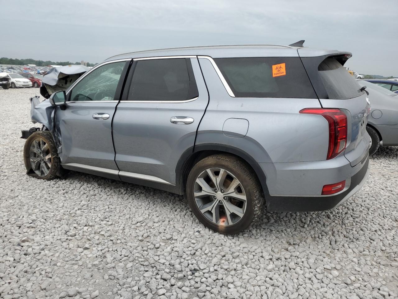 2020 Hyundai Palisade Sel VIN: KM8R4DHE9LU029458 Lot: 67081244