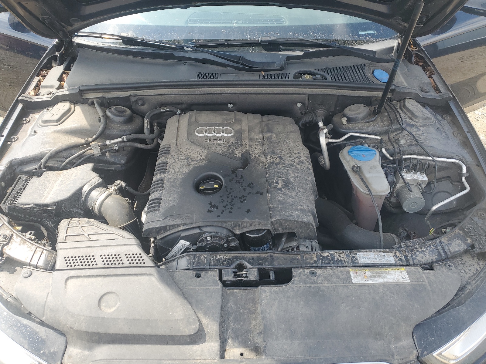 WAUFFAFL4EN030528 2014 Audi A4 Premium Plus