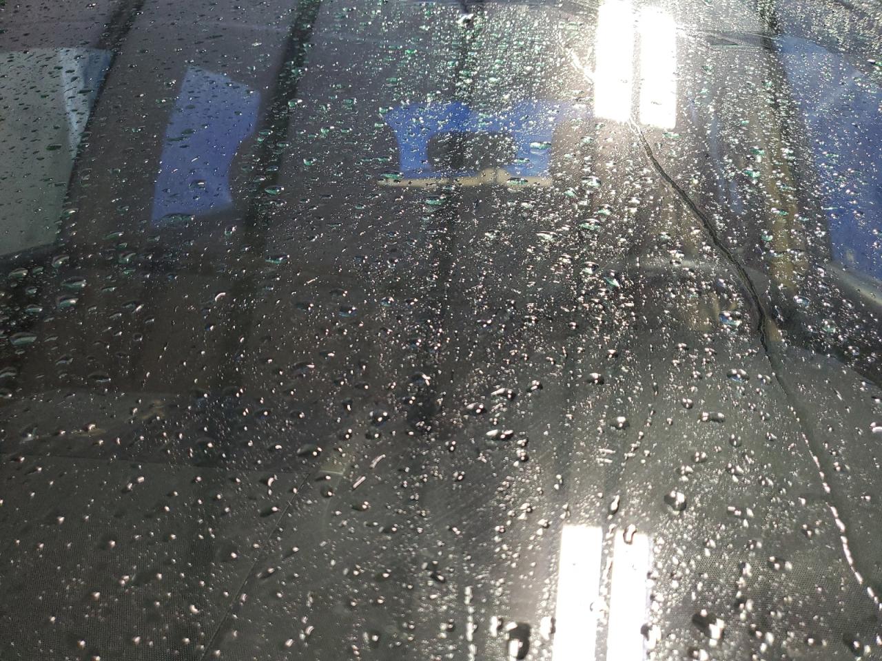 2011 Honda Cr-V Lx VIN: 3CZRE3H37BG701846 Lot: 66246994