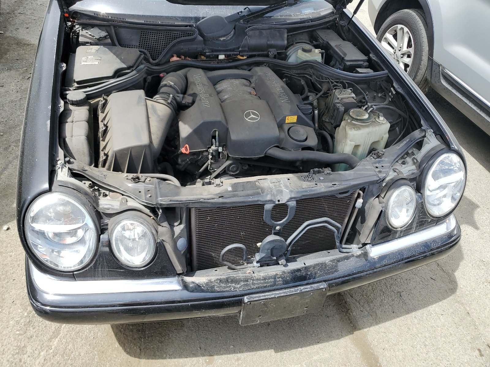 WDBJF65H4XA930605 1999 Mercedes-Benz E 320