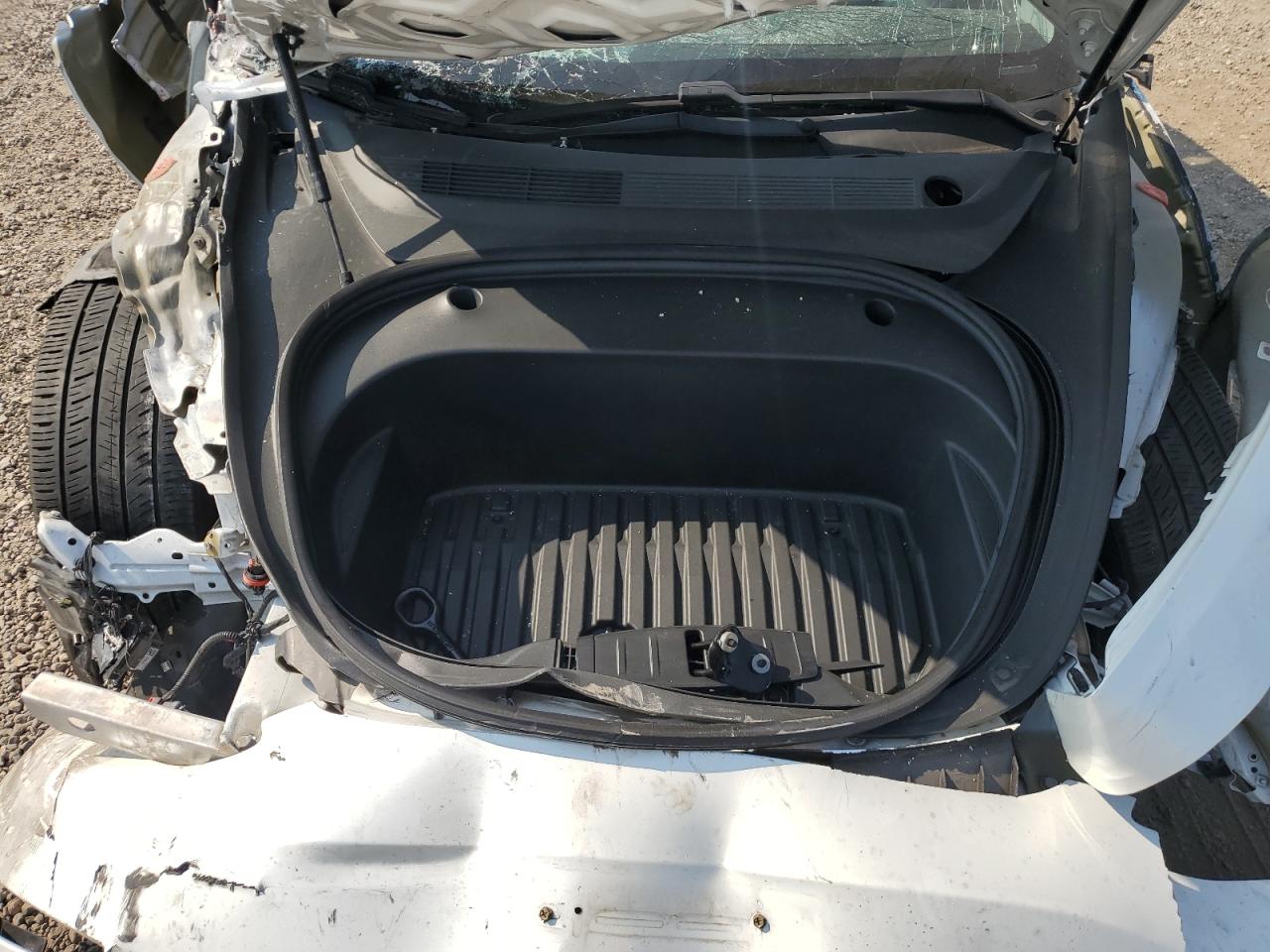 2021 Tesla Model 3 VIN: 5YJ3E1EA7MF907843 Lot: 66987864