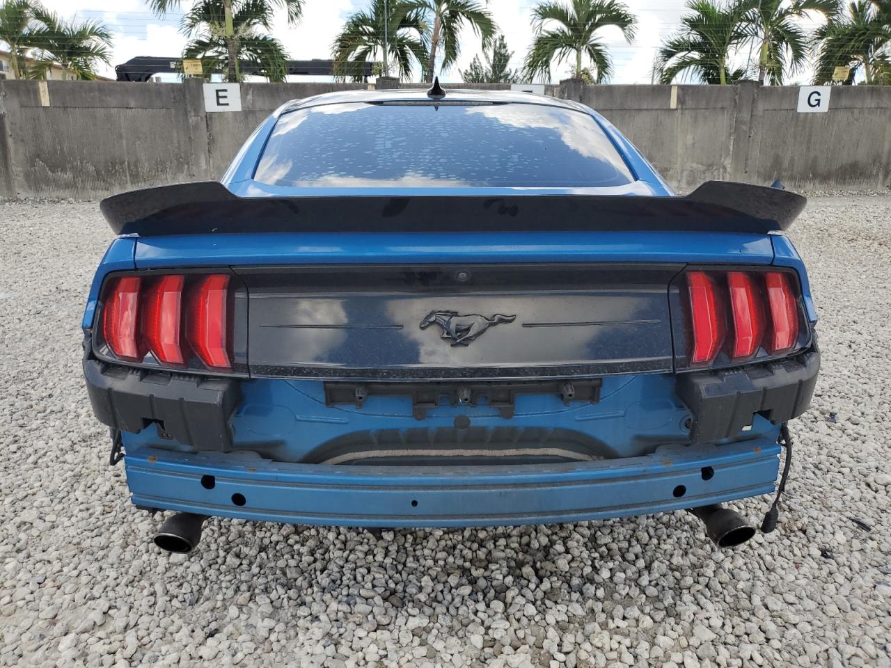 2021 Ford Mustang VIN: 1FA6P8TH0M5114410 Lot: 66966374