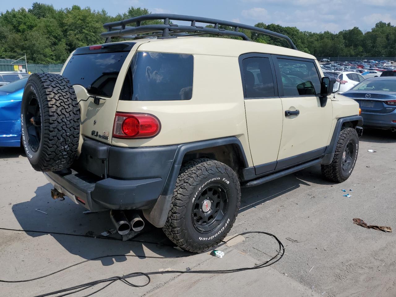 2010 Toyota Fj Cruiser VIN: JTEBU4BF9AK071141 Lot: 67696654