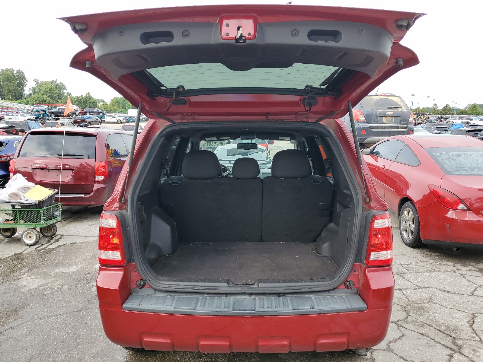 1FMCU0DG0BKA75356 2011 Ford Escape Xlt