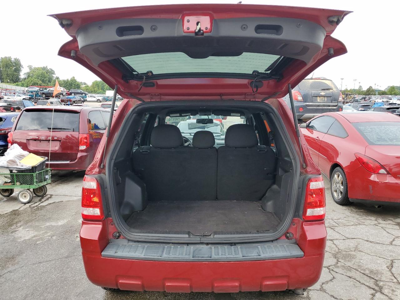 2011 Ford Escape Xlt VIN: 1FMCU0DG0BKA75356 Lot: 66798974