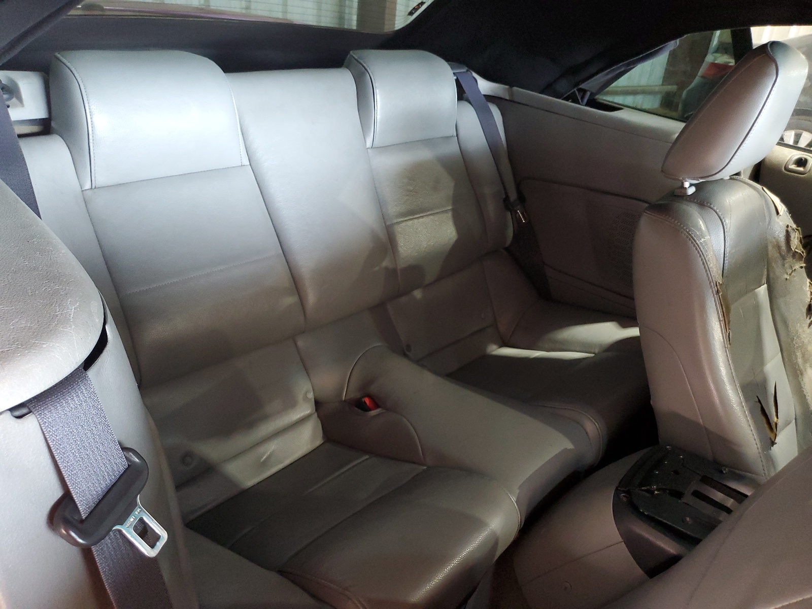 1ZVHT84N895115747 2009 Ford Mustang