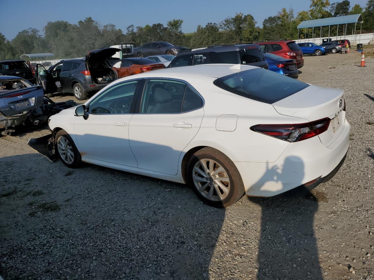 2021 Toyota Camry Le VIN: 4T1C11AK0MU604593 Lot: 69715514