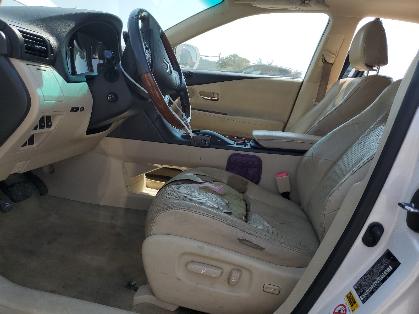 JTJZK1BA6A2001363 2010 Lexus Rx 350