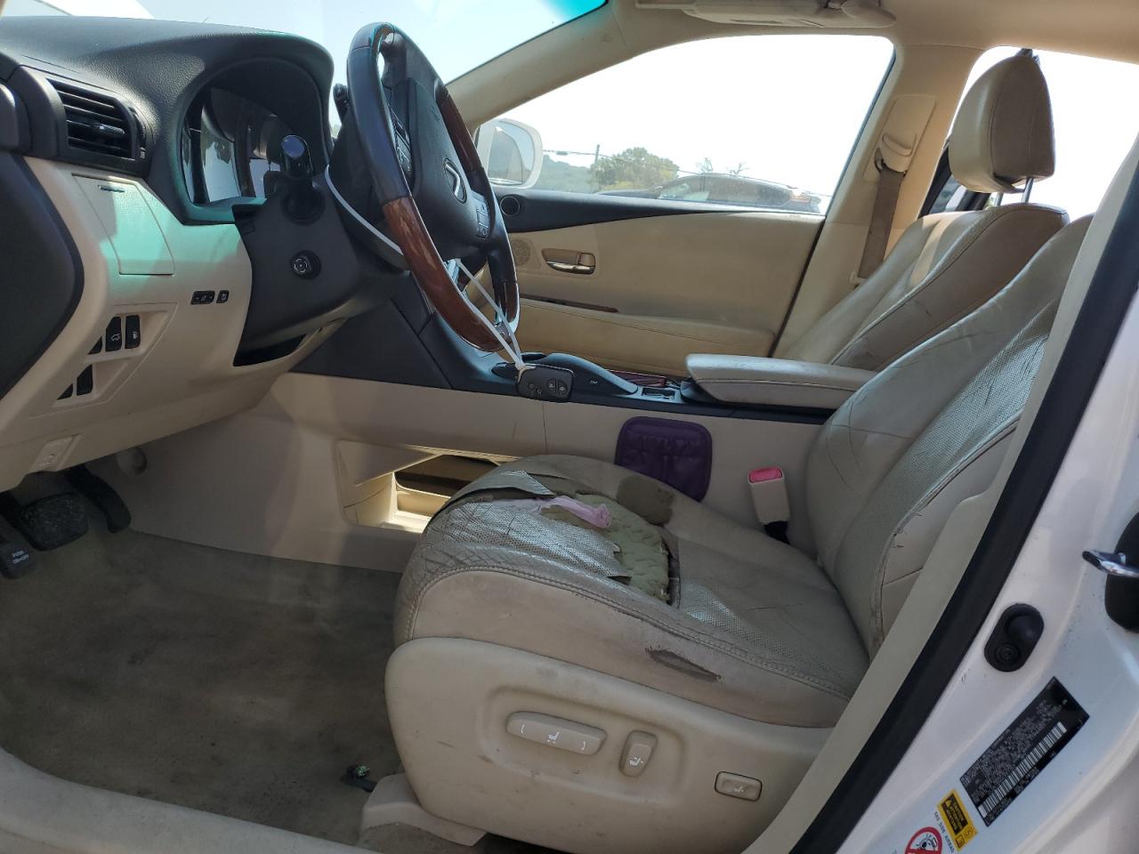 2010 Lexus Rx 350 VIN: JTJZK1BA6A2001363 Lot: 65987324