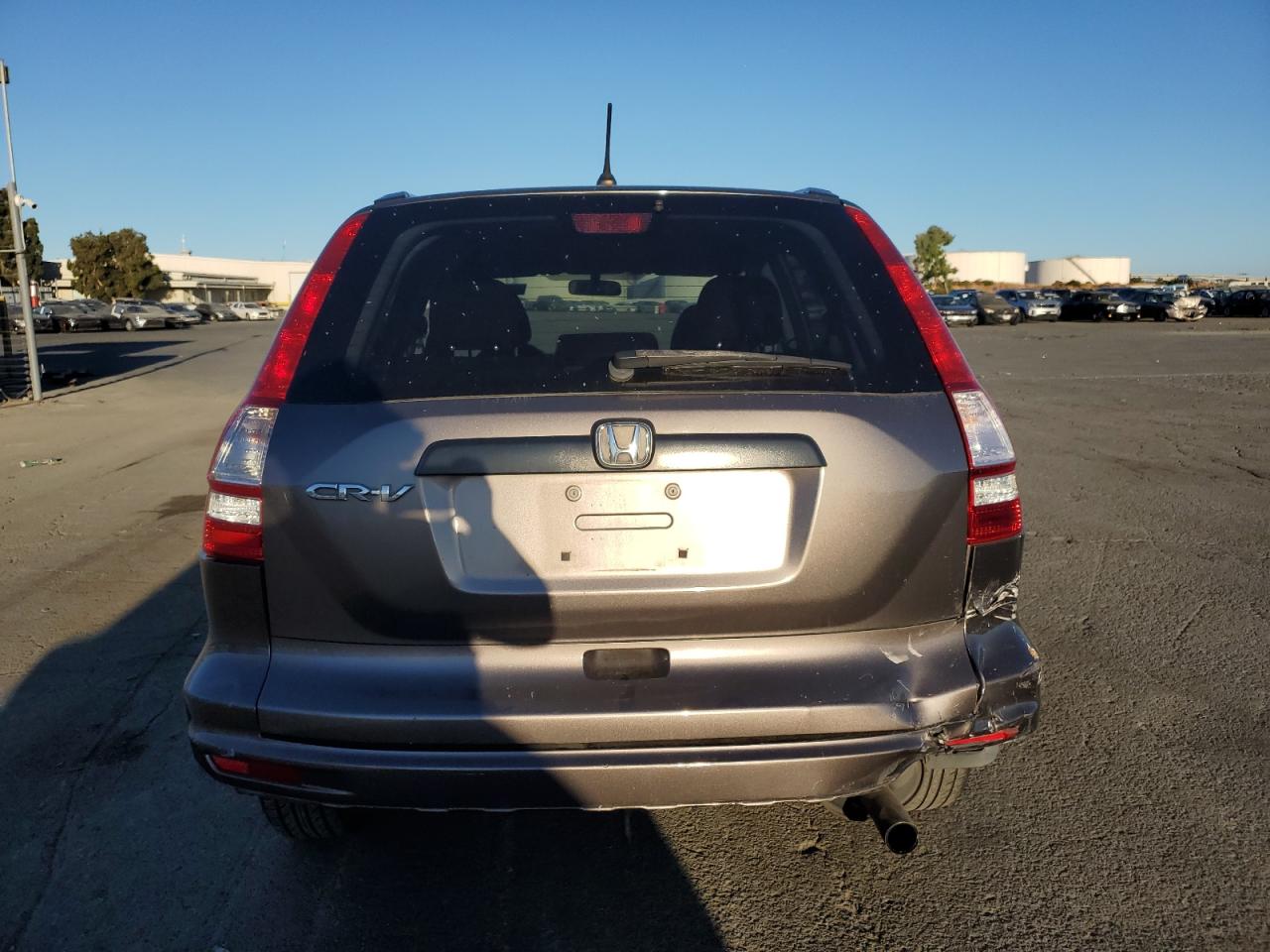 2010 Honda Cr-V Lx VIN: 5J6RE3H30AL018159 Lot: 67698204