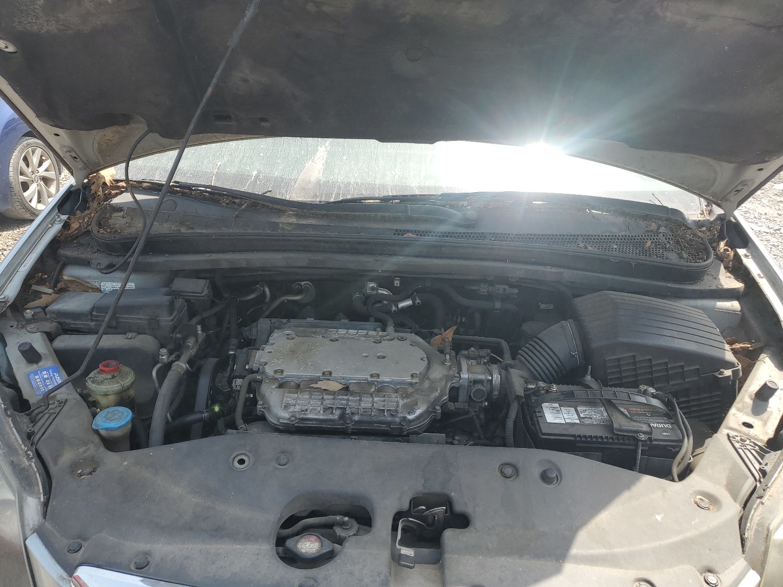 5FNRL38706B123552 2006 Honda Odyssey Exl