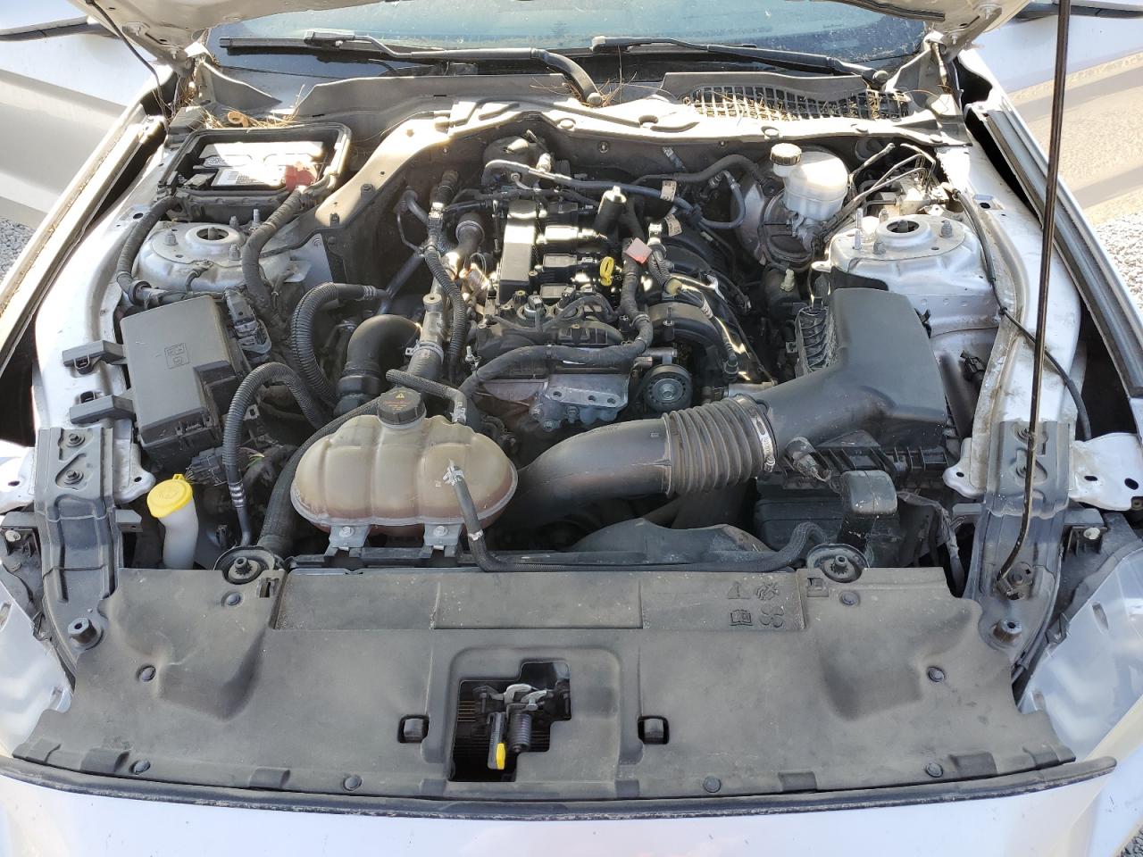 2018 Ford Mustang VIN: 1FA6P8TH5J5163842 Lot: 68580474