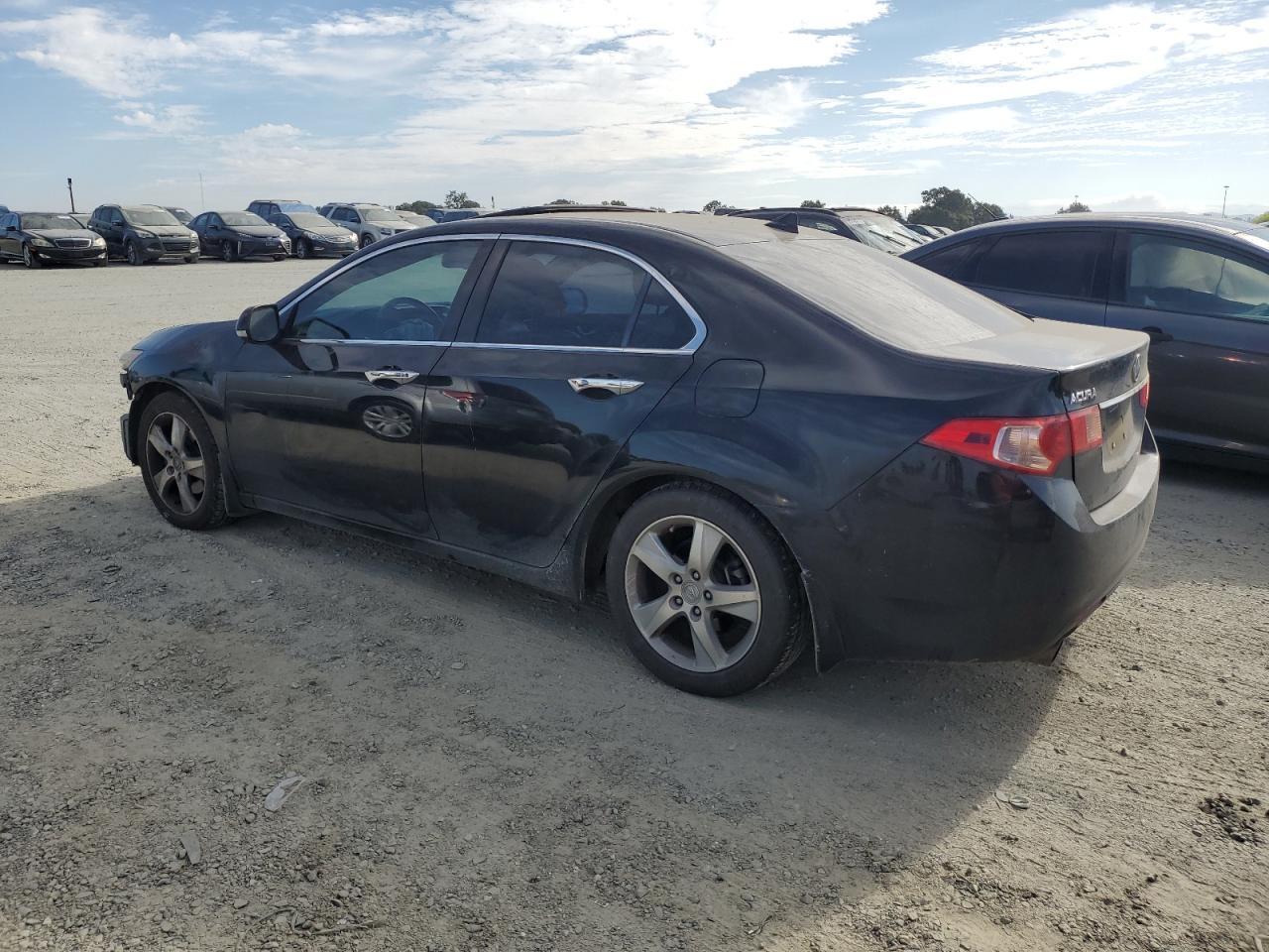 2011 Acura Tsx VIN: JH4CU2F66BC013943 Lot: 66586004