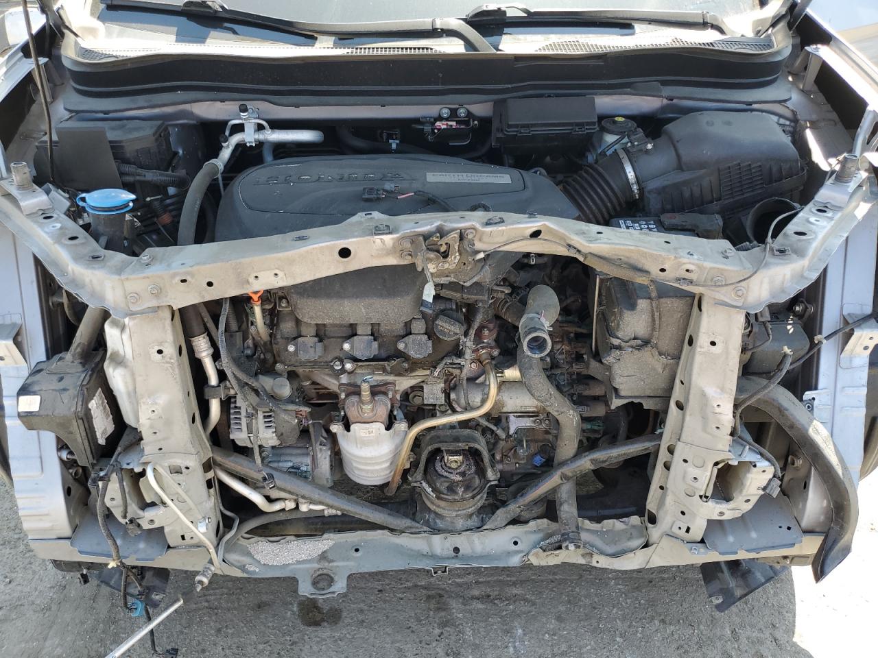 2019 Honda Pilot Exl VIN: 5FNYF5H59KB019066 Lot: 66209864