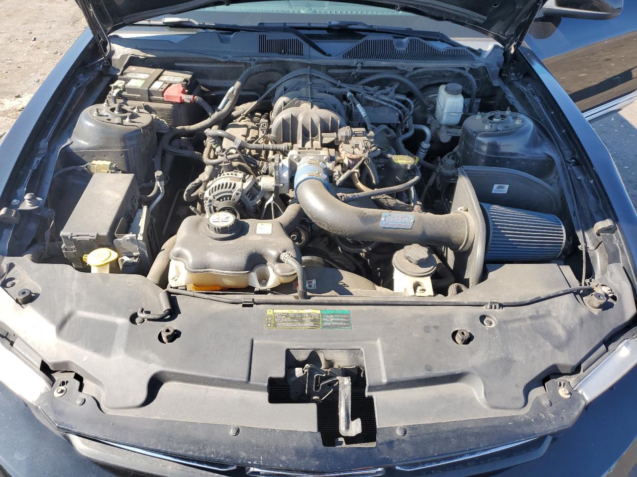 2010 Ford Mustang VIN: 1ZVBP8AN1A5123921 Lot: 67330414