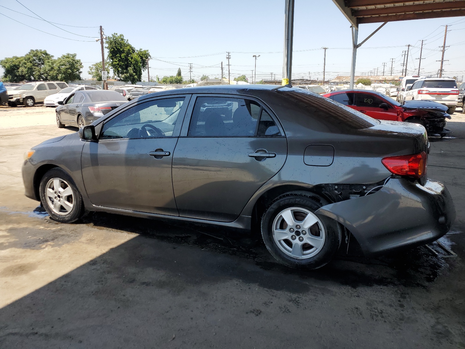 1NXBU4EEXAZ338066 2010 Toyota Corolla Base