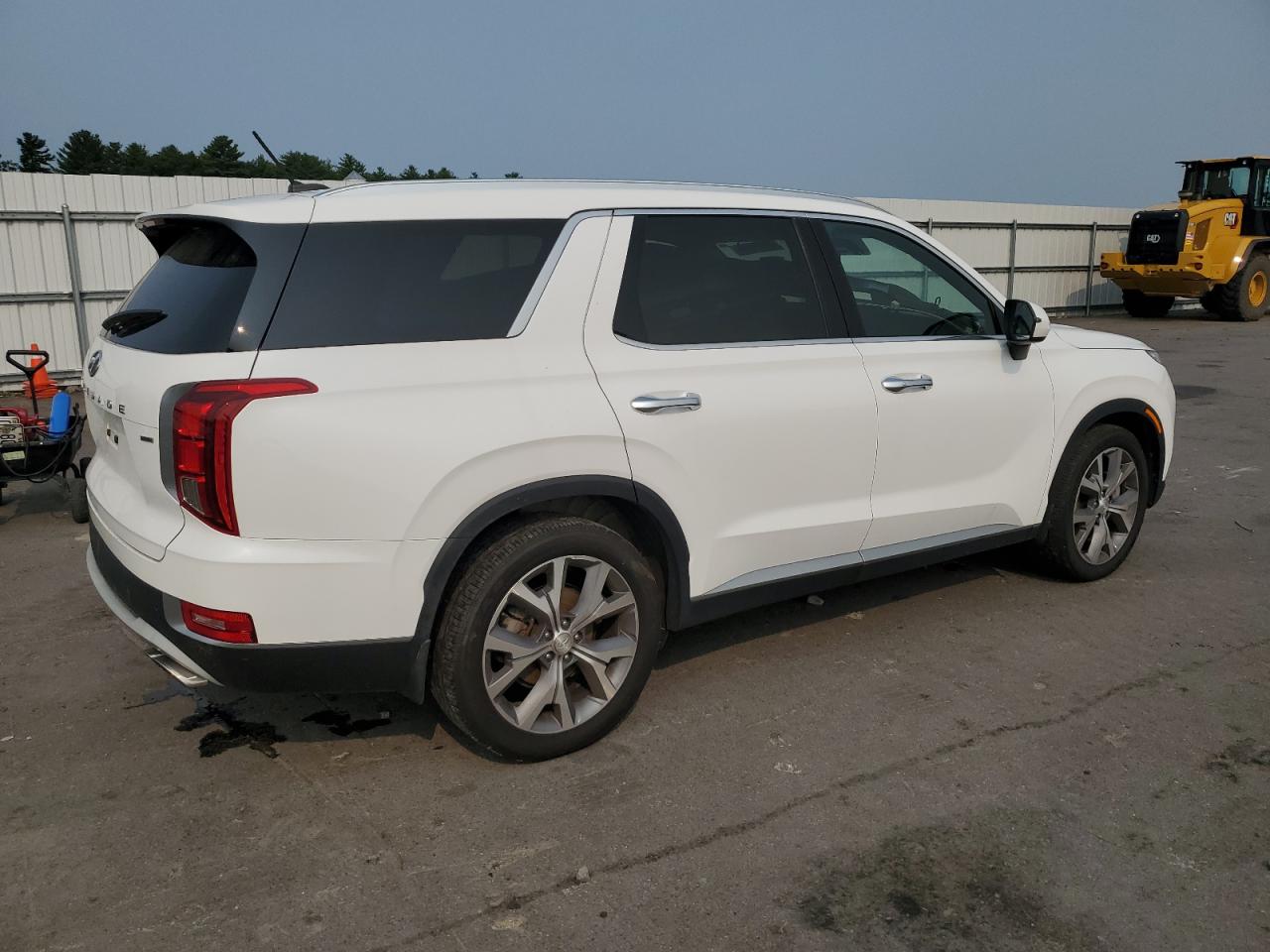 2020 Hyundai Palisade Sel VIN: KM8R4DHE9LU096335 Lot: 66975364