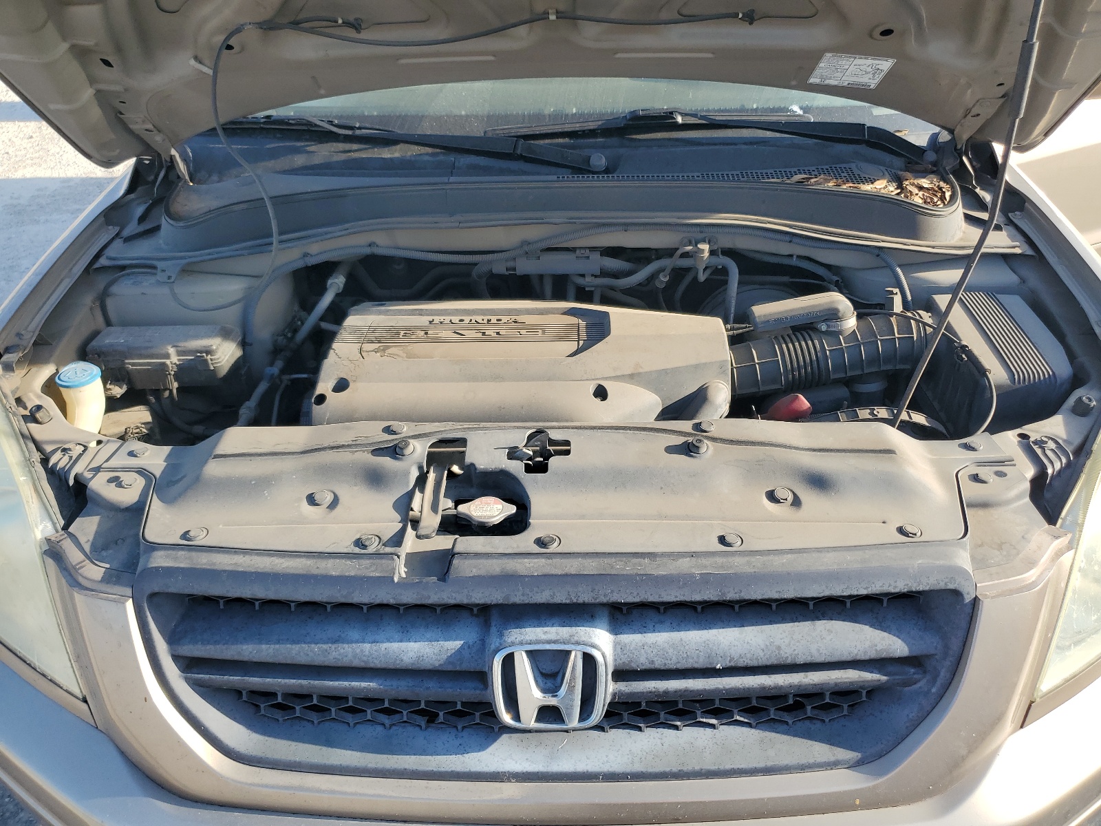 2HKYF18573H536541 2003 Honda Pilot Exl