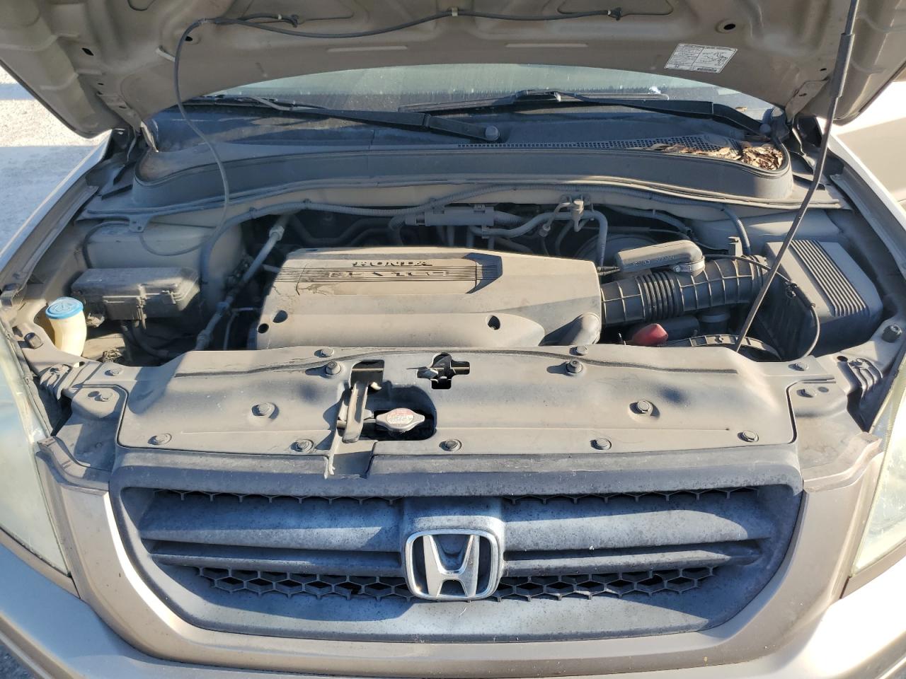 2003 Honda Pilot Exl VIN: 2HKYF18573H536541 Lot: 67790354